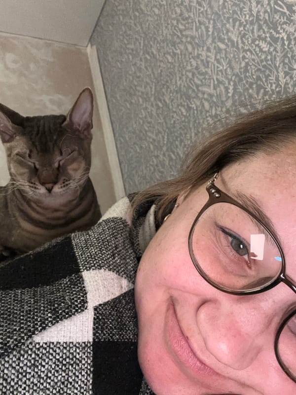 Person photographs intimate moments with grey cat in Russia