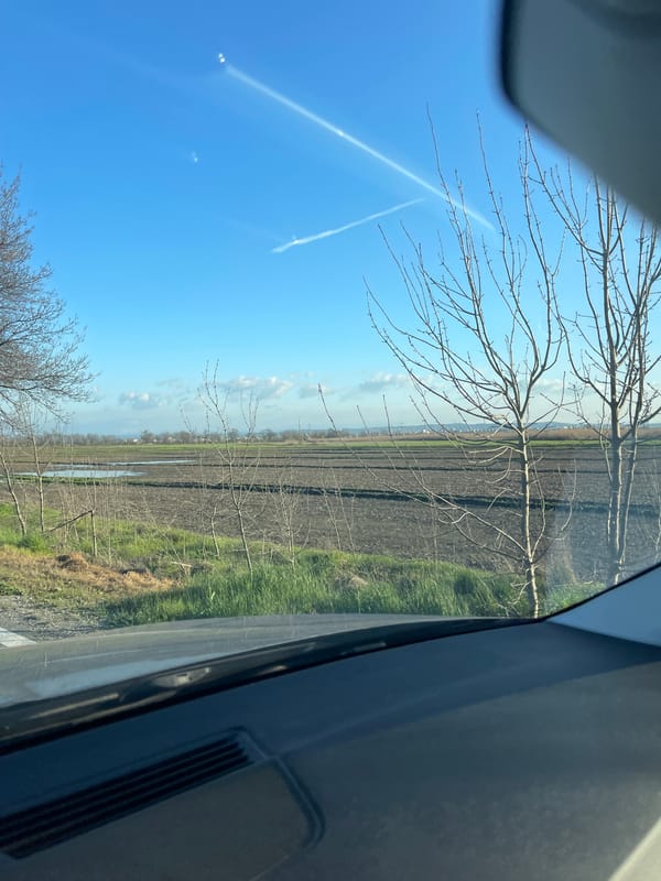 Morning rural journey documented near Burgas, Bulgaria