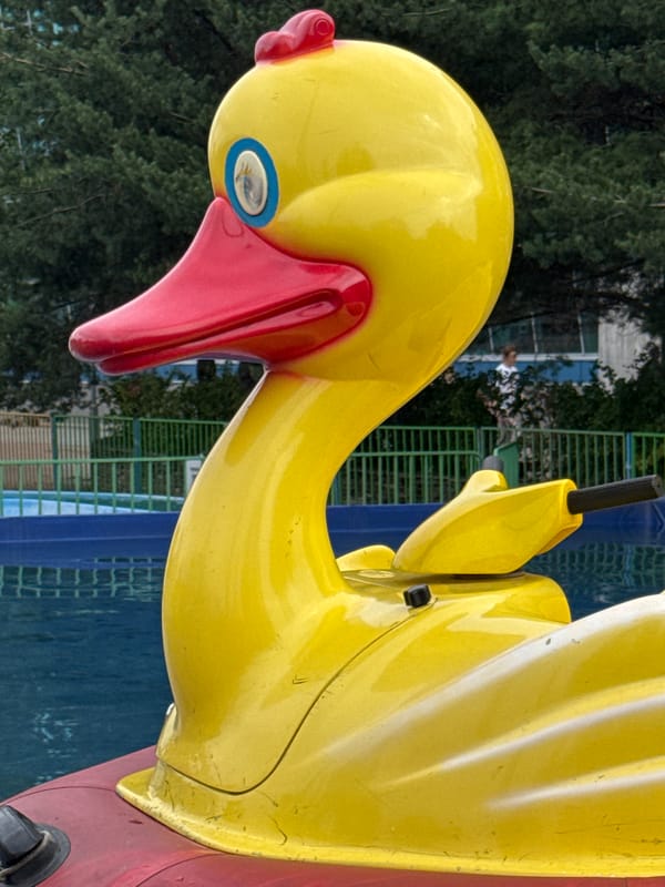 Colorful rides and carousel fun at a Saint Petersburg park