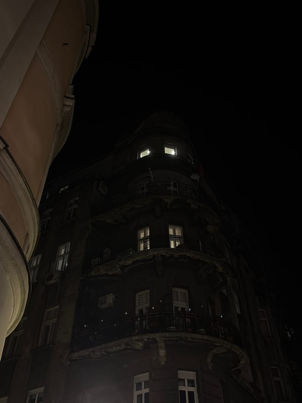 Nighttime scenes of Belgrade architecture and street artist documented