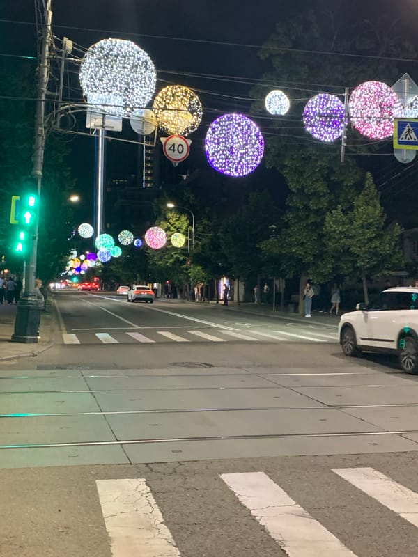 A night out: city streets, blooms, lights, and street life