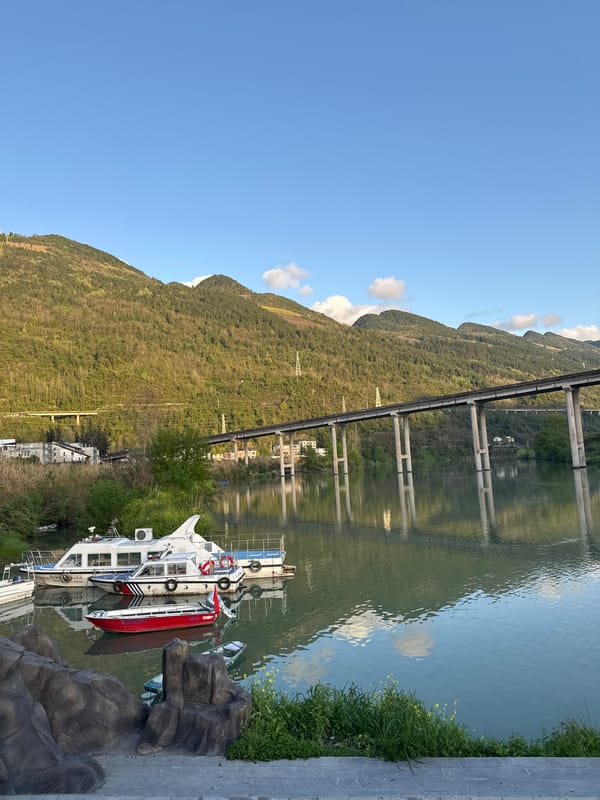Woman in boat amid spring blooms in Zhuoshui waterway