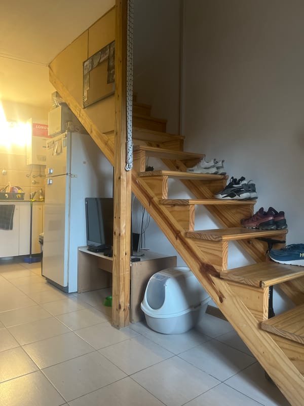 Casual indoor moments captured in Ushuaia homes