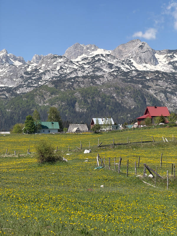 Morning mountain excursion documented in Žabljak, Montenegro