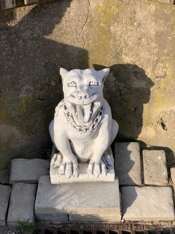 Mixed urban and domestic scenes documented across Hrodna, Belarus