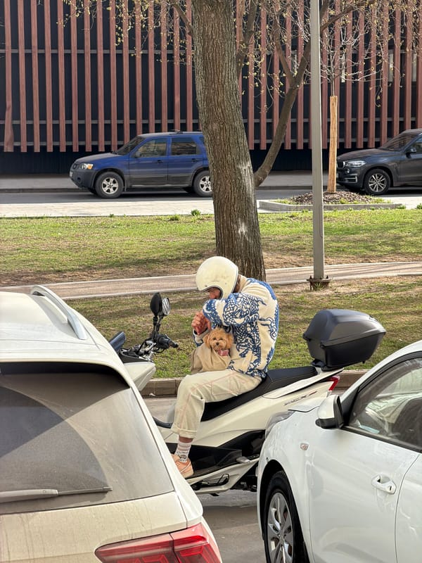 Scooter rider with dog takes selfie on Moscow street