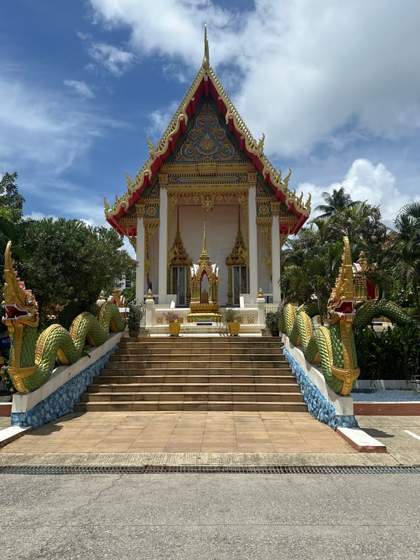 Karon temple morning: ornate shrines and a sleeping cat