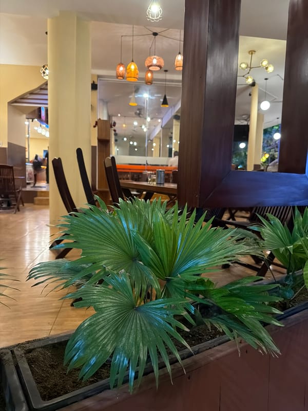 Nha Trang boulevard at dusk: trees, street food, and nightlife