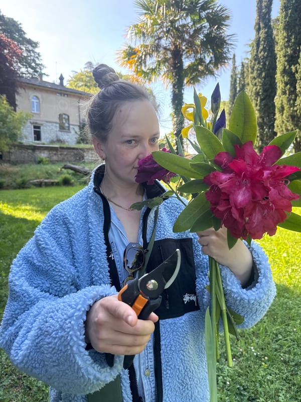 Woman gardens, collects flower bouquet in sunny Erba