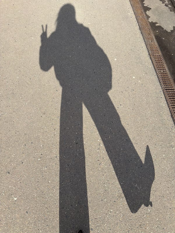 Worker observed at Domodedovo Airport in bright sunlight