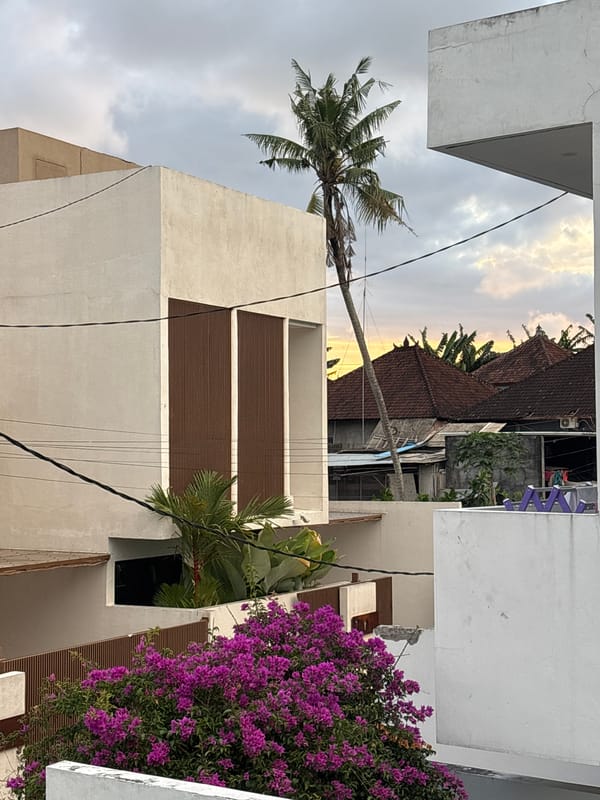Morning snapshots of domestic life in Mengwi, Indonesia