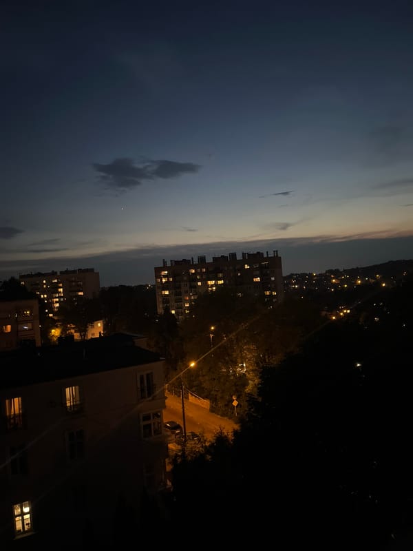 City lights at dusk from a rooftop perch