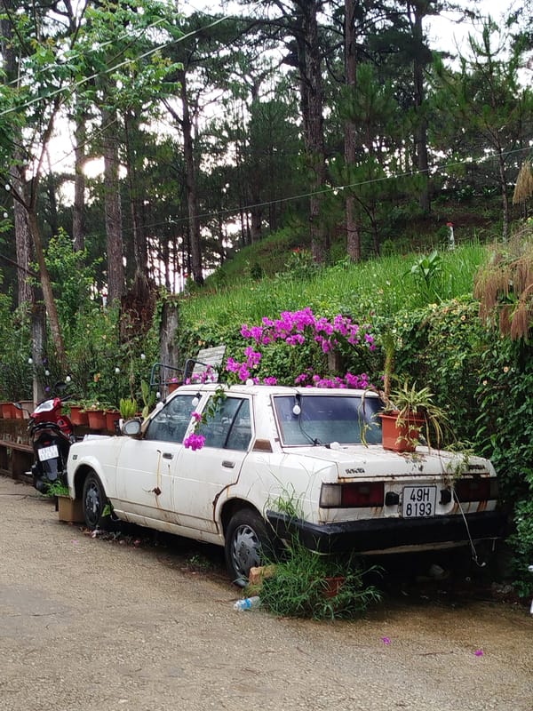 Morning snapshots capture daily life across Da Lat neighborhoods