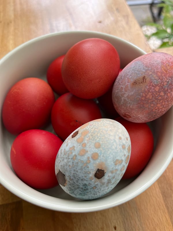 Easter celebrations observed across Novi Sad with decorating, treats