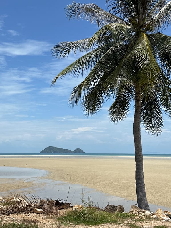 Morning beach scene documented in Koh Phangan, Thailand