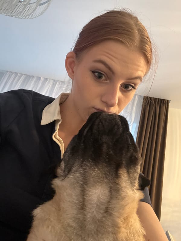 Pug hangout and a meal at home