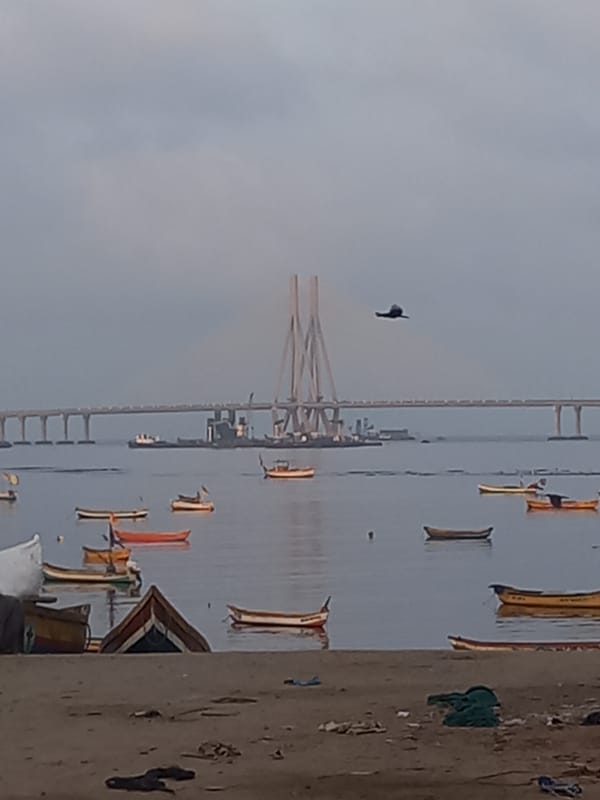 Fishing boats spotted near Mumbai's Bandra-Worli Sea Link