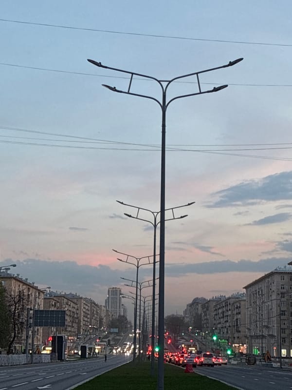 Moscow street scenes capture spring blooms and broken tree