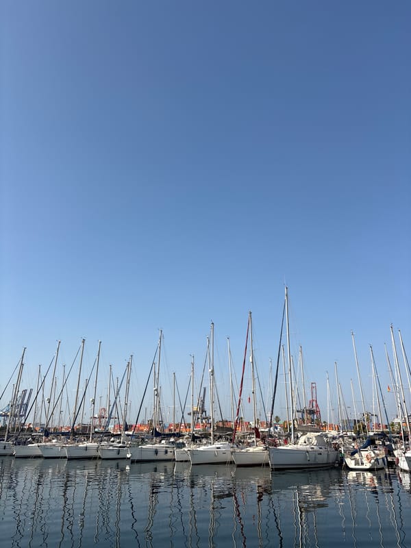 Sailboats moored in calm water at Valencia's marina