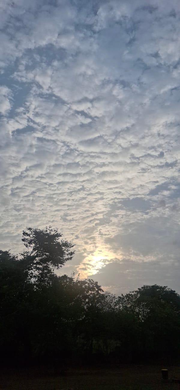 Cloudy sky conditions observed over Vallecito, Venezuela