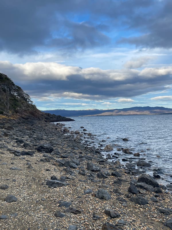 Visitors explore Ushuaia's dramatic coastline during afternoon excursion