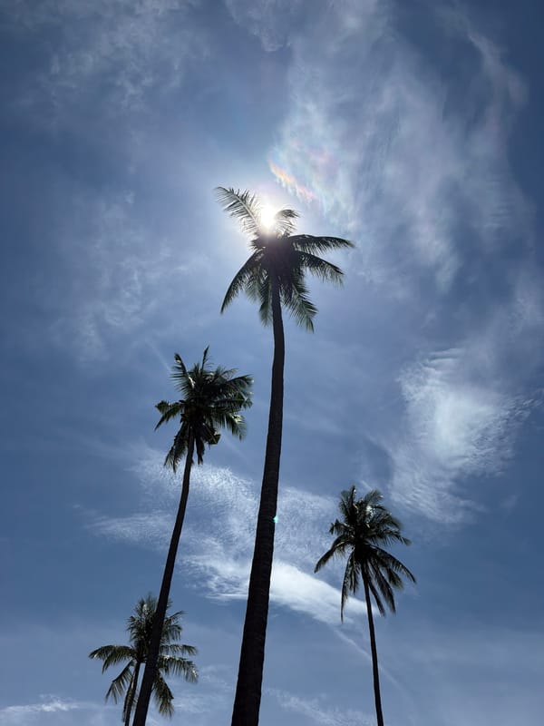 Morning scenes around Baan Bo Phut's tropical streets and landscapes