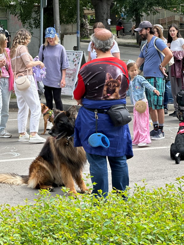 Street gathering with families, dogs, military vehicle in Varna