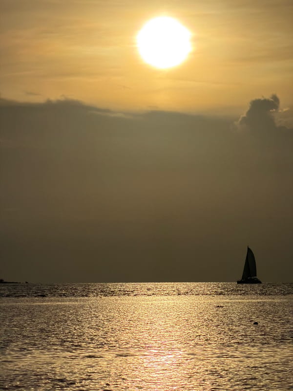 Lazy morning on Bo Phut beach — sailboats, sunshine, and a stray cat