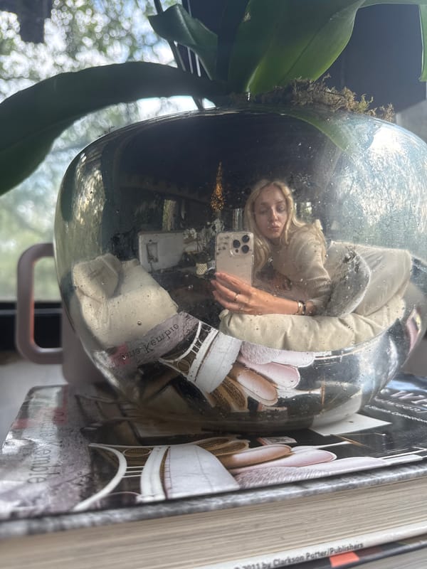 Lazy afternoon at home in Mexico City with cats and wine