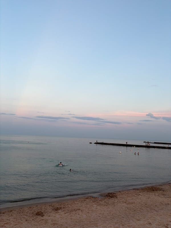 Odesa waterfront at dusk: beach, promenade, and a dog out for a walk