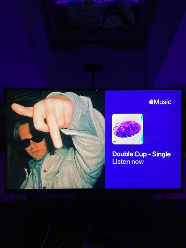 Music streaming activity captured across Apple Music and Spotify platforms