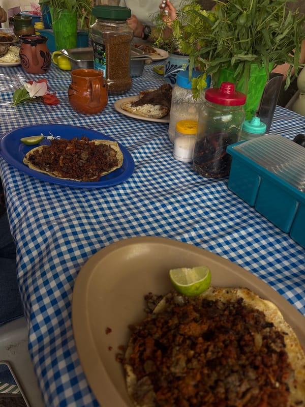 Casual outdoor dining observed in Chilpancingo restaurant