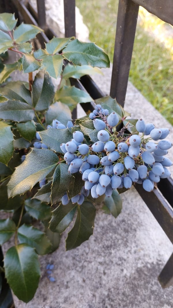 Event