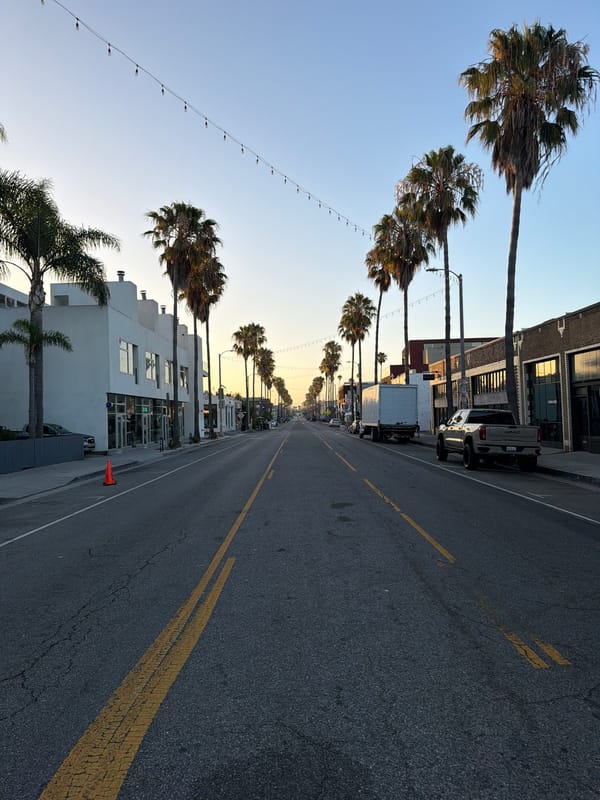 Afternoon snapshots from LA's westside streets