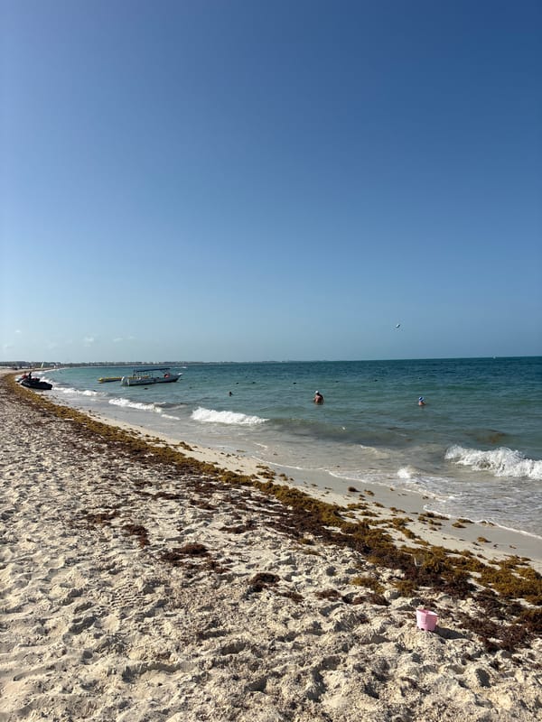 Beachside afternoon at Punta Sam resort