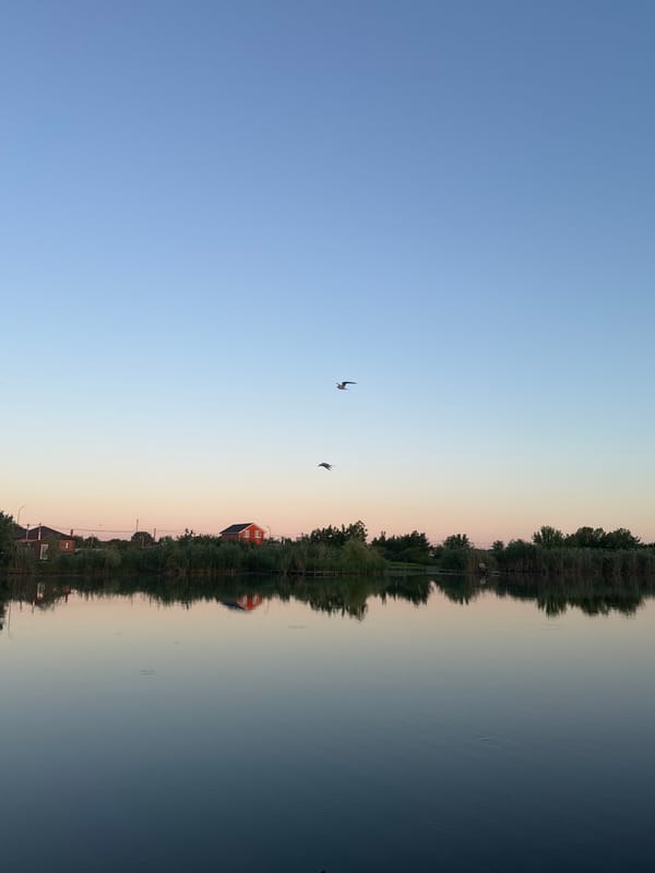 Still water mirrors dusk sky near Chervonosilske