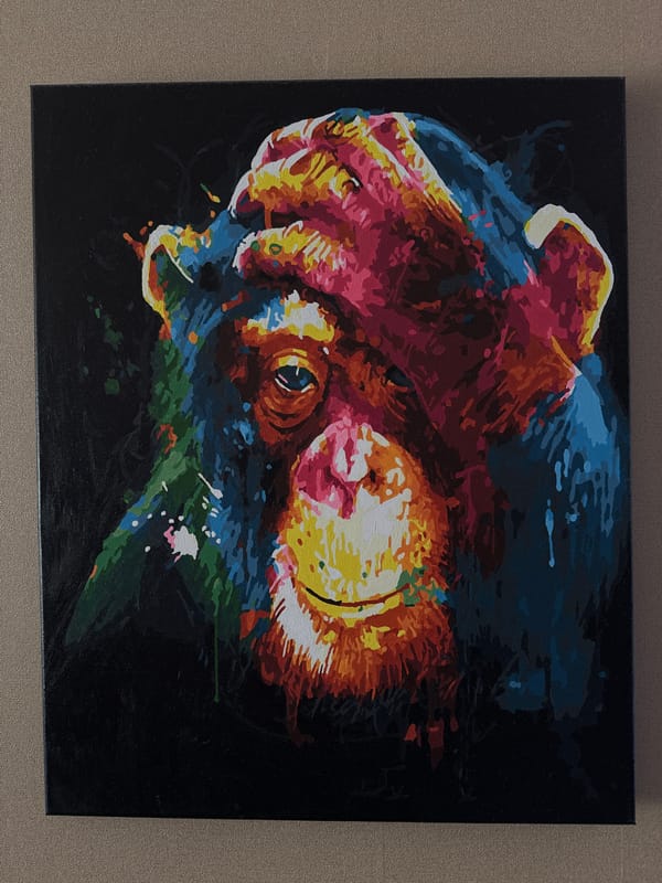 Spring observations and artwork documented in rural Belarus