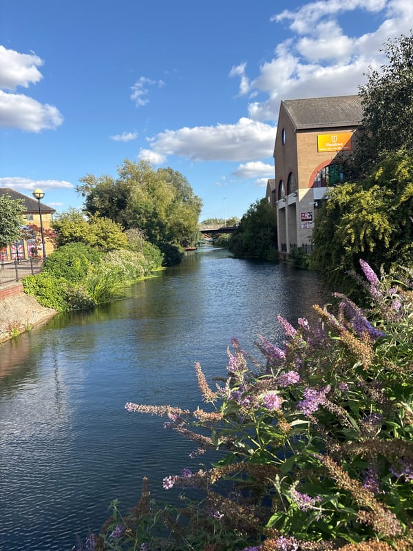 Sunny afternoon along the River Chelmer in Chelmsford