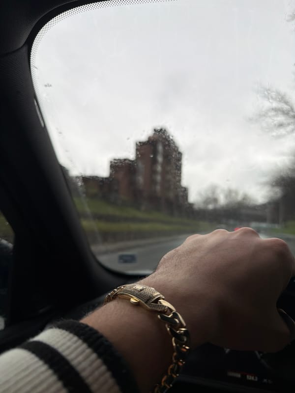 Driver spotted wearing gold bracelet in Plovdiv car