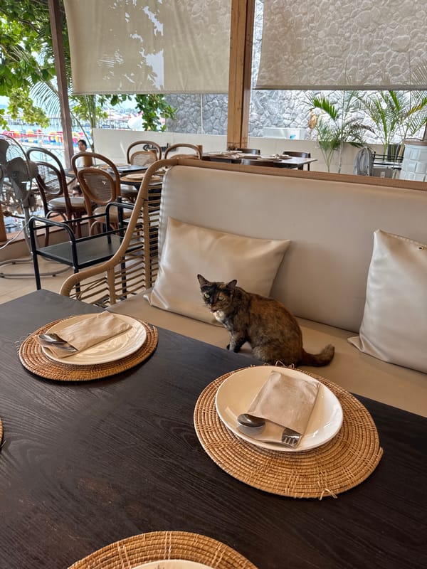 Morning scenes captured at Baan Bang Rak beachfront restaurants