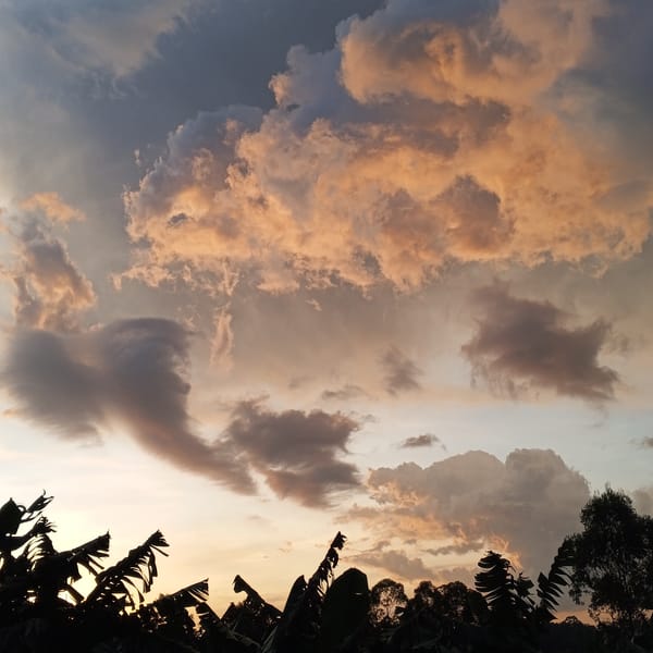 Sunset captured over rural Getenga ward, Kenya landscape