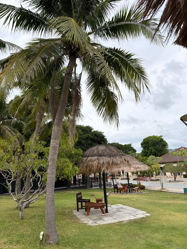 Ko Samui ferry terminal, selfies and luggage in tow