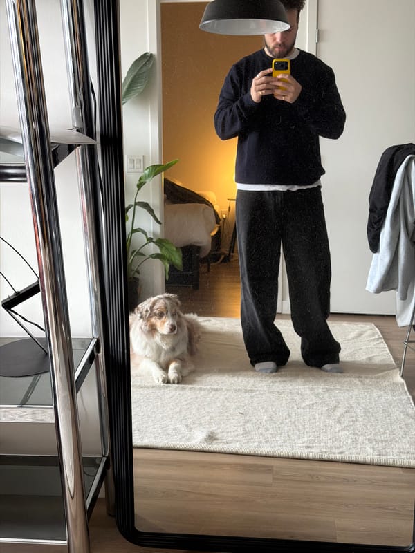 Person takes mirror selfie with dog in Laval home