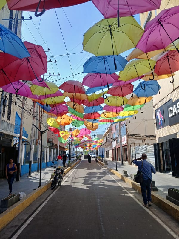 Colorful umbrella canopy installation observed in Ciudad Guayana street
