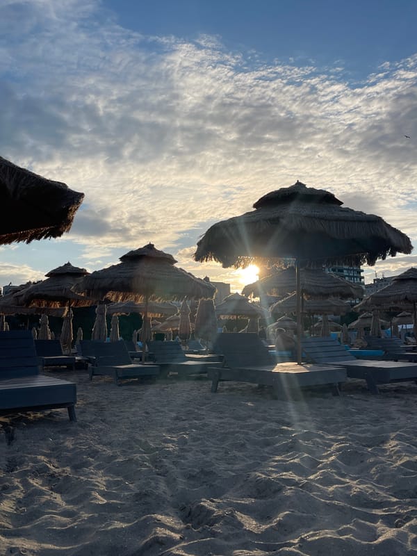 Beach afternoon: shoreline, animals, and shifting light