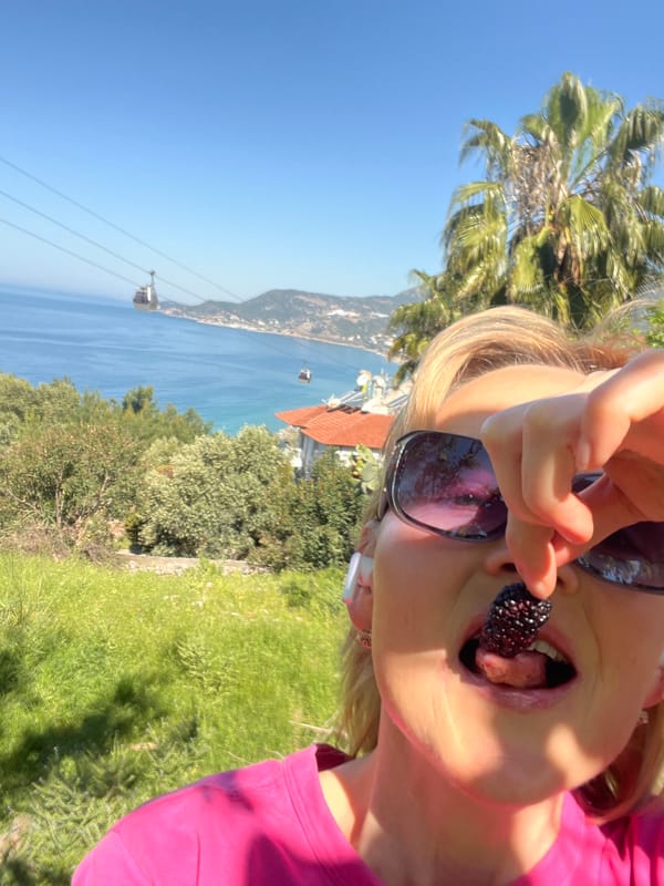 Tourist picks fresh mulberries on sunny morning in Alanya