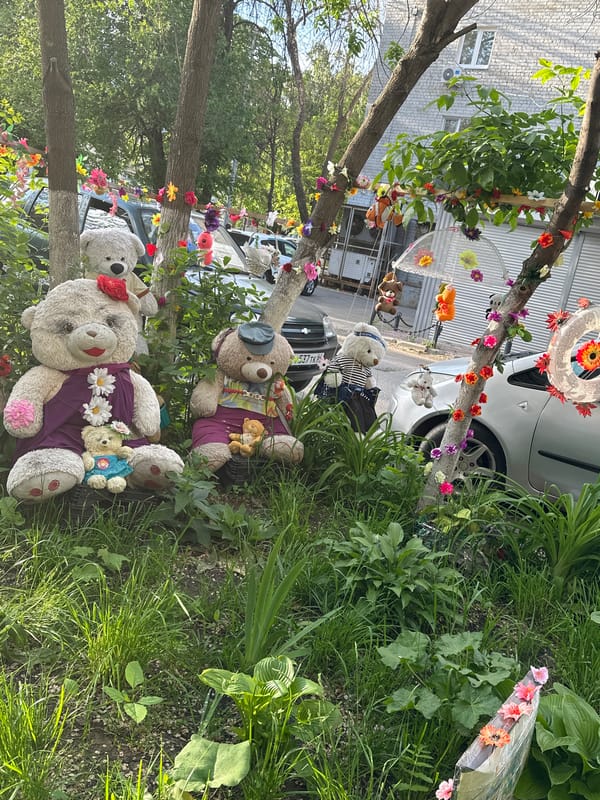 Everyday moments captured across Saratov: bears, selfies, casual afternoon