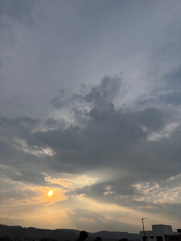 Dawn sky and flowering tree observed in Santa Clara Ocoyucan