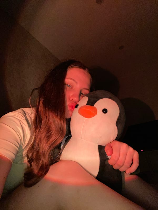 Woman photographs evening moments with stuffed penguin in Izhevsk bedroom