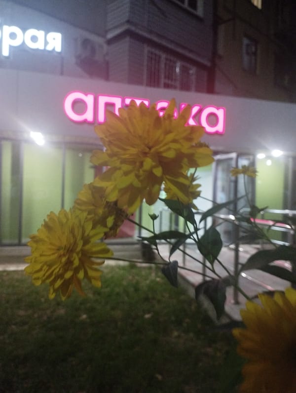 Foggy night along an Almaty pedestrian street in summer